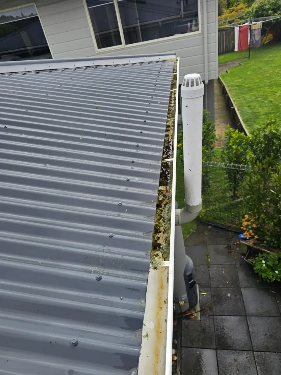 Before: A gutter along a corrugated iron roof, packed with moss and debris