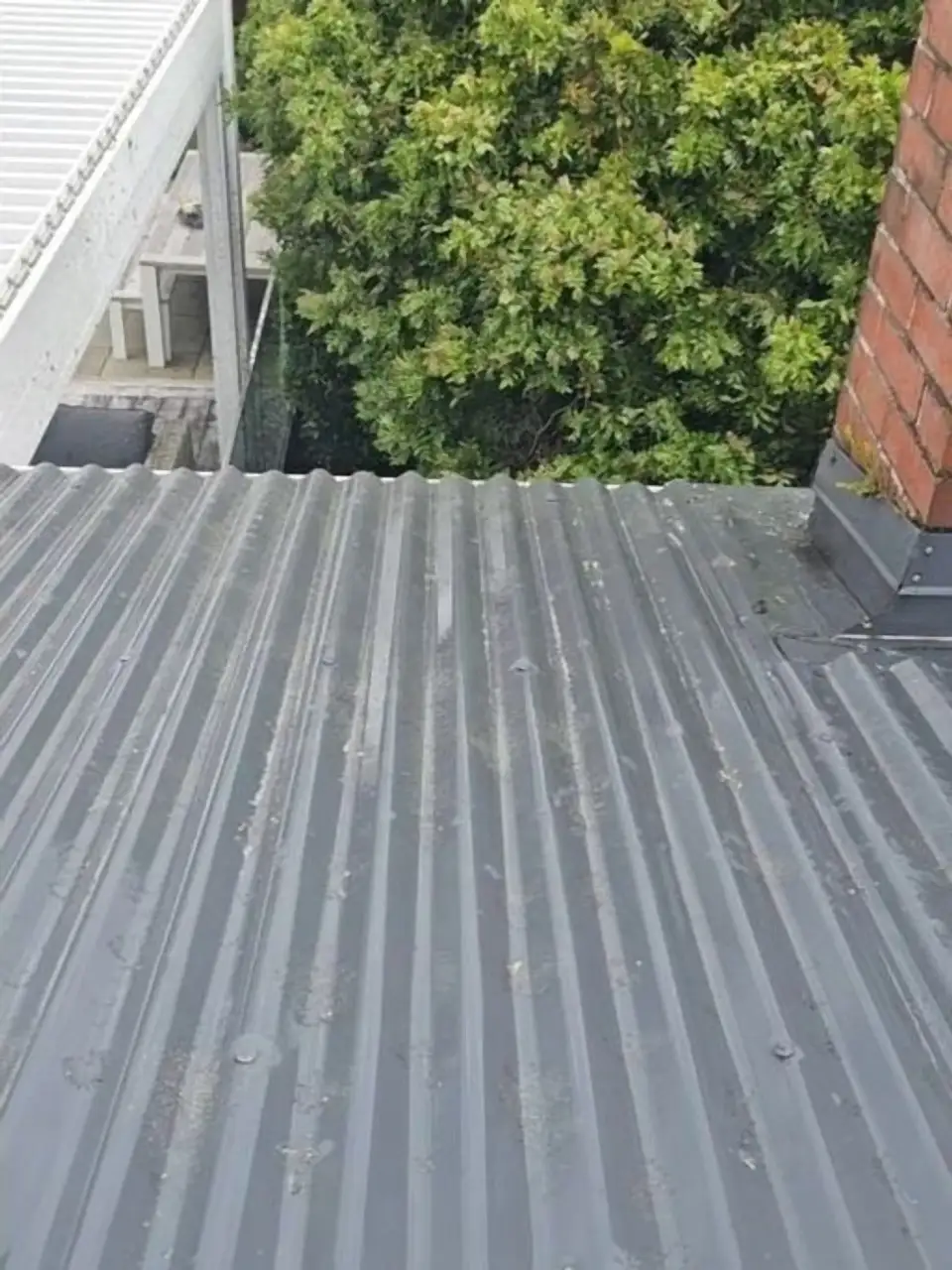 After: The same roof clean, the lichen gone