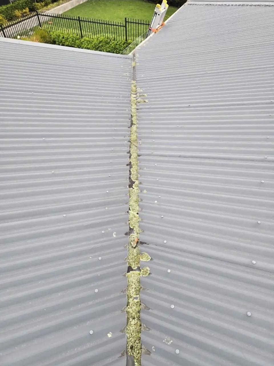 Before: A grey iron roof valley packed with lichen and moss