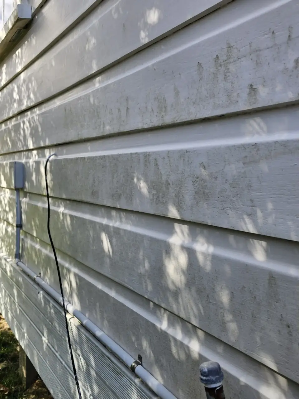 Before: Weatherboards streaked green with algae down a side wall